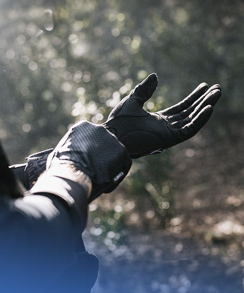 GUANTES